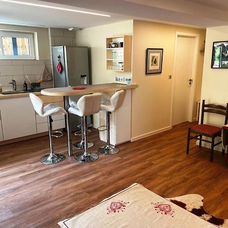 Appart Prive Dans Villa Meinau Residentiel Strasbourg Eksteriør bilde