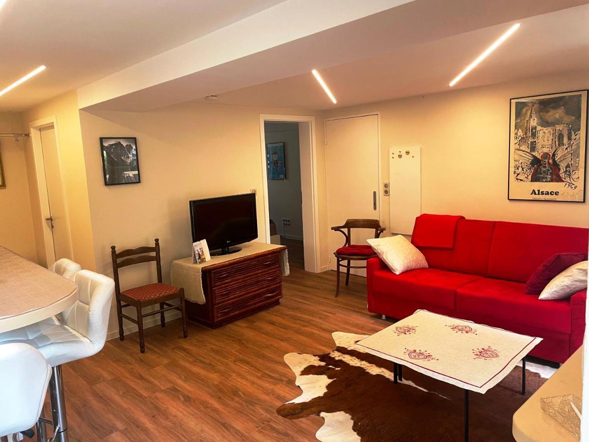Appart Prive Dans Villa Meinau Residentiel Strasbourg Eksteriør bilde