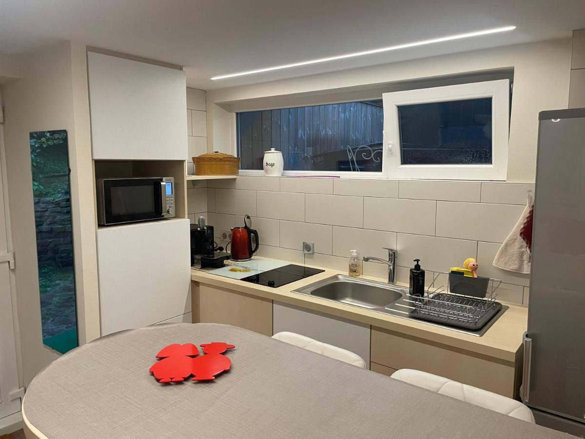 Appart Prive Dans Villa Meinau Residentiel Strasbourg Eksteriør bilde