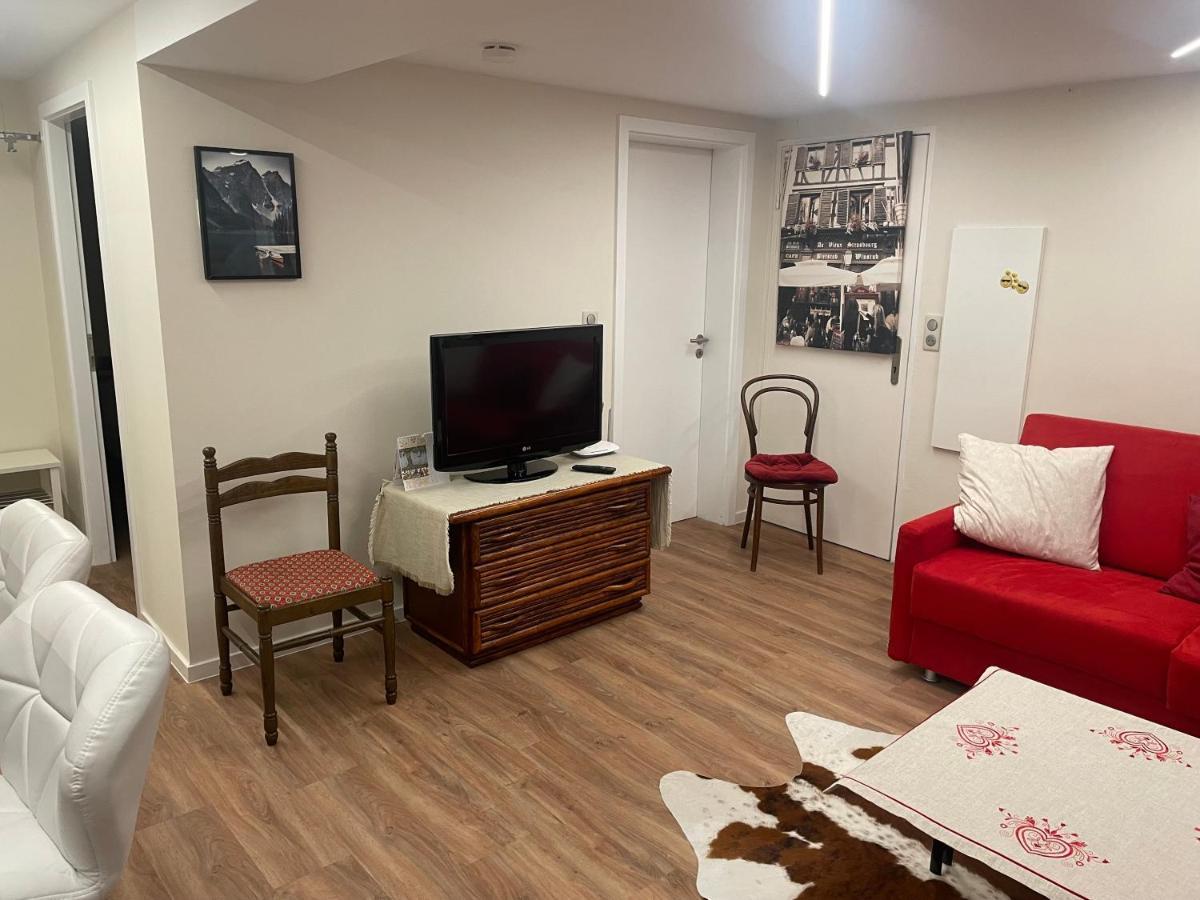 Appart Prive Dans Villa Meinau Residentiel Strasbourg Eksteriør bilde